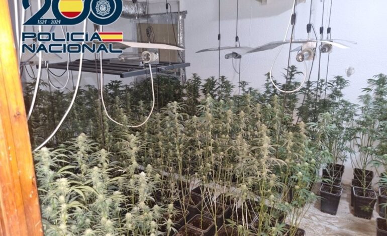 Detenidos dos familiares de un discapacitado encerrado para trabajar en cultivos de marihuana en Granada