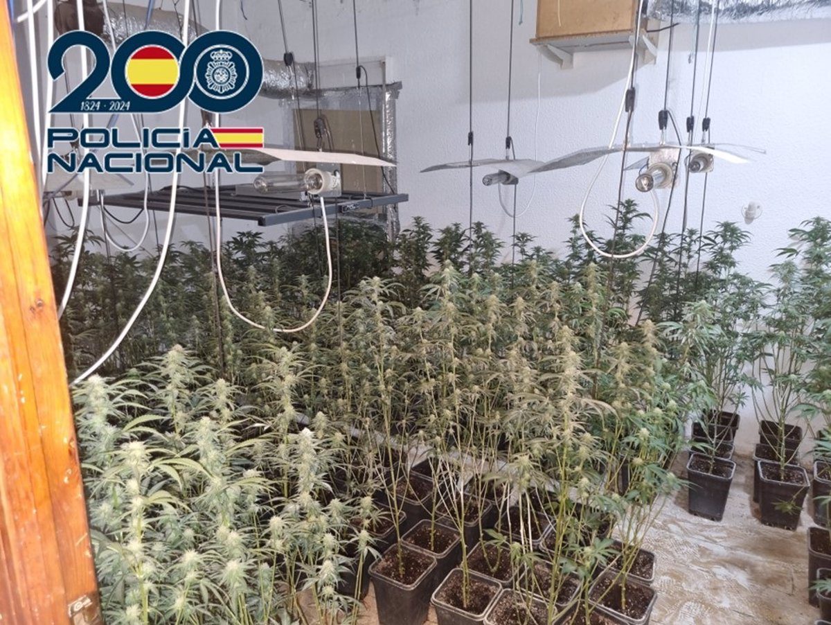 Detenidos dos familiares de un discapacitado encerrado para trabajar en cultivos de marihuana en Granada