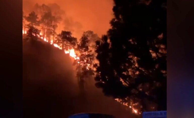 Un incendio en El Paso, en La Palma, obliga a evacuar a 200 personas en medio de una alerta forestal en Canarias