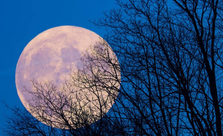 cuándo y cómo ver la Superluna de Castor