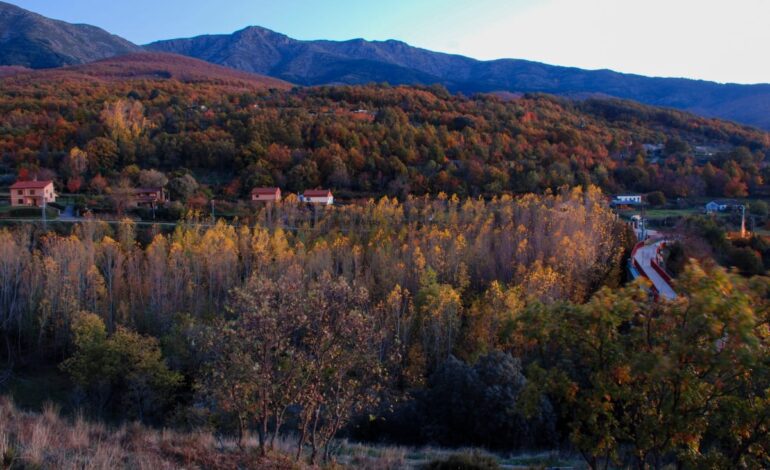 Bosques mágicos, marionetas, la mejor gastronomía y mucho más para terminar el mes