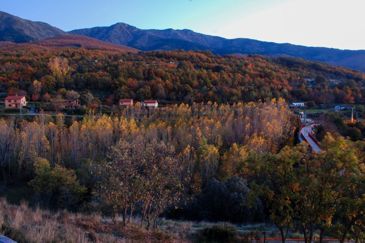 Bosques mágicos, marionetas, la mejor gastronomía y mucho más para terminar el mes