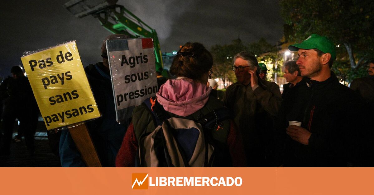 Los camioneros denuncian la desprotección de Óscar Puente ante las «agresiones injustificadas» de agricultores franceses