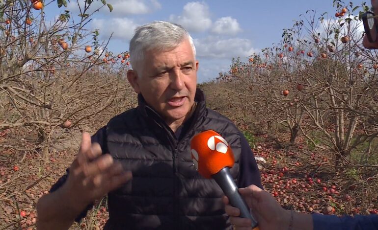 Miles de agricultores han perdido sus campos de cultivo y sus cosechas: «No nos queda nada»