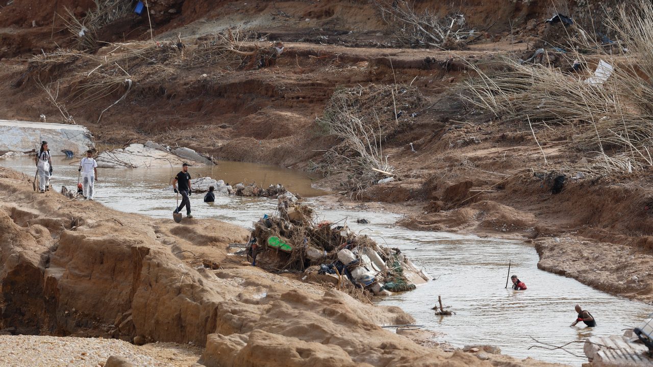 Confirman un tercer caso de leptospirosis tras el paso de la DANA en Valencia