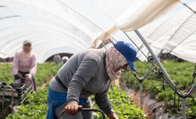 País Vasco, Madrid y Navarra, las únicas comunidades que alcanzan la productividad de la UE