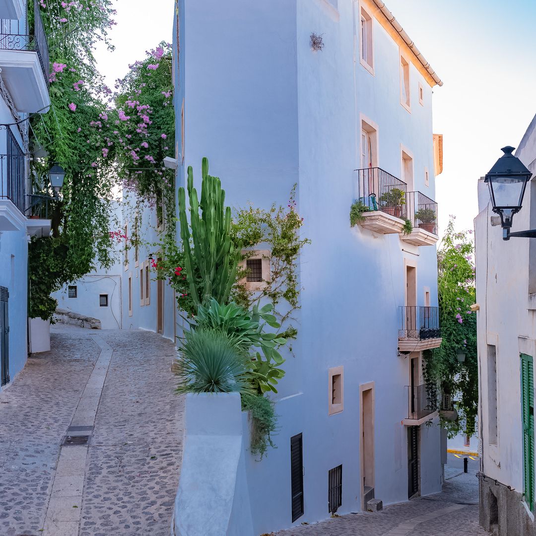 Calle peatonal de Ibiza.