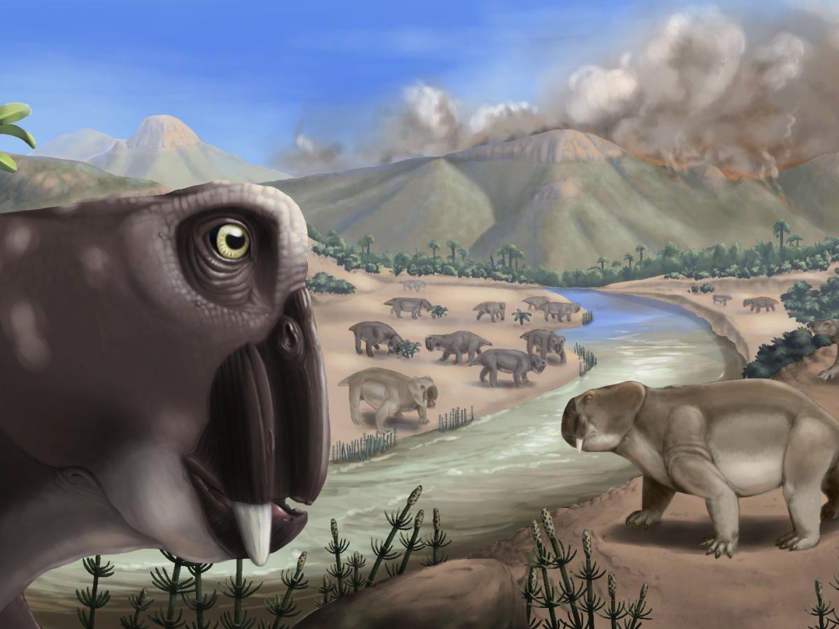 El vulcanismo provocó una gran cantidad de emisiones a la atmósfera.