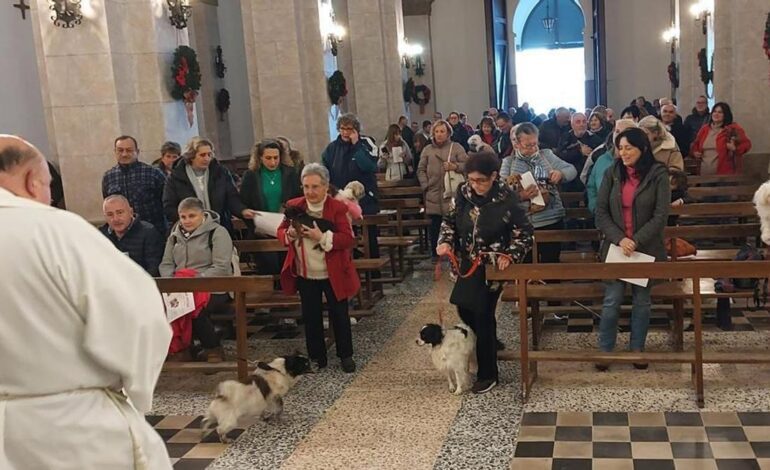 Tapia llena la iglesia para la bendición de mascotas más numerosa