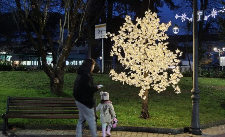 estos son los ganadores de los concursos de escaparates de Navidad de Grado