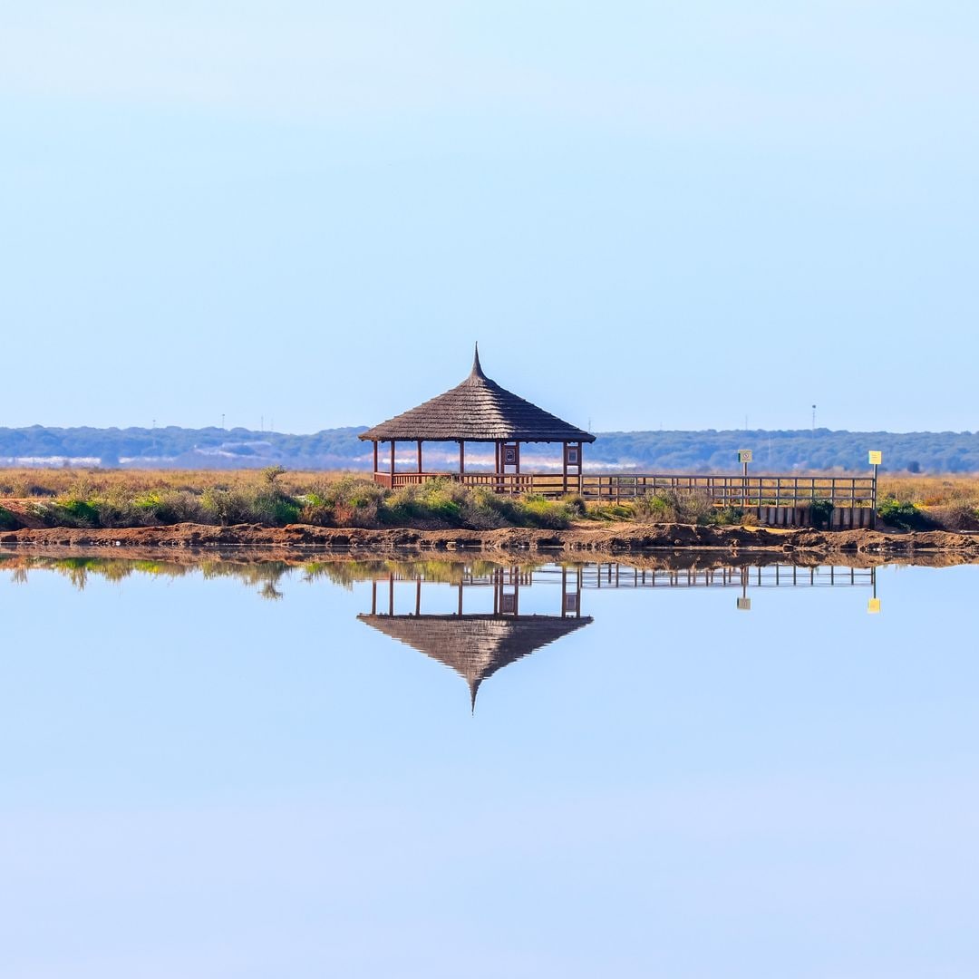 Observatorio de Aves de las Marismas del Odiel, Huelva