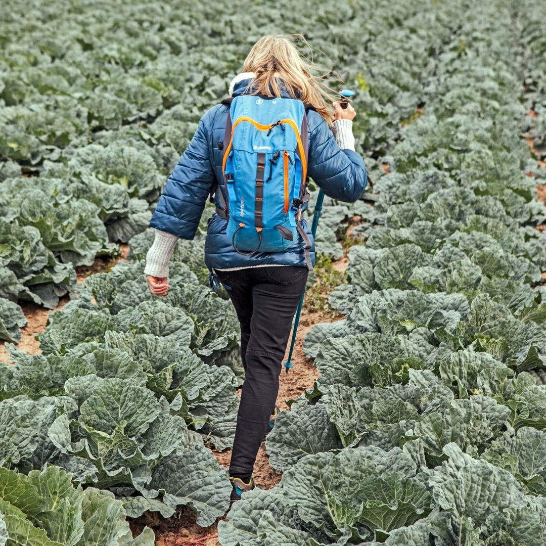 Rutas vegetales en Calahorra, La Rioja