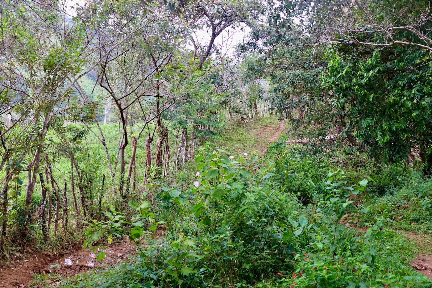 Santa Fe au Panama