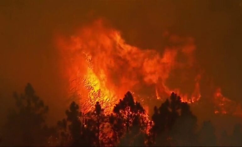 Los apocalípticos incendios reducen a cenizas las zonas más exclusivas de Los Ángeles y dejan ya once muertos