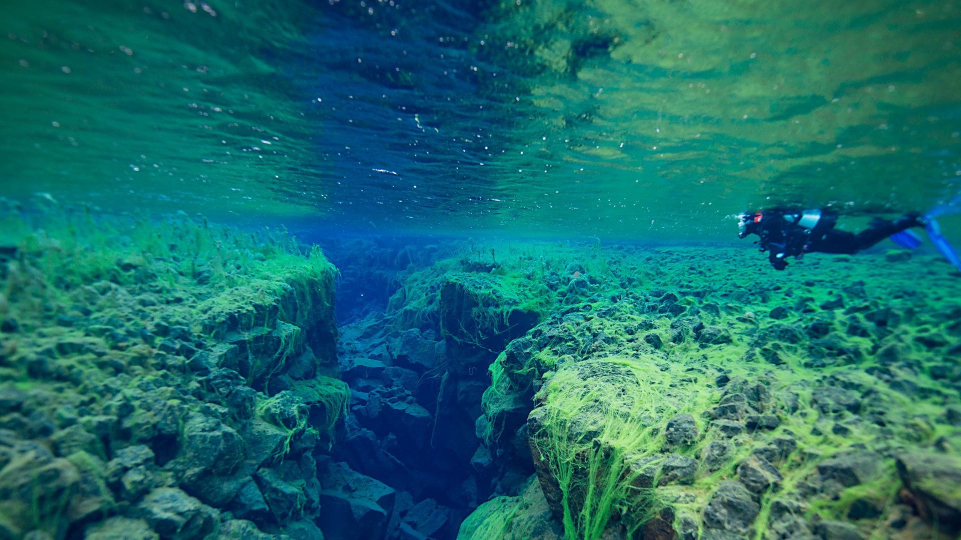 Bucear en la grieta de Silfra, Islandia