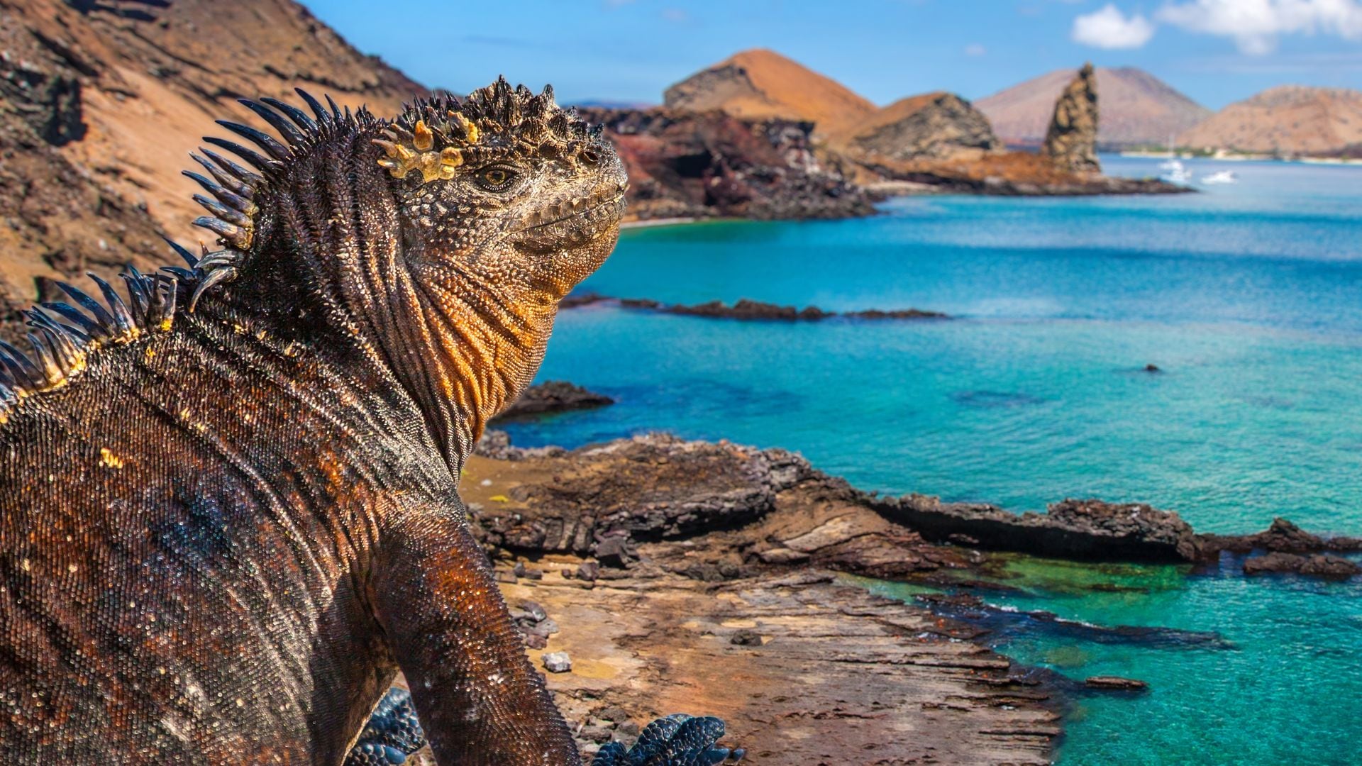 Islas Galápagos, Ecuador