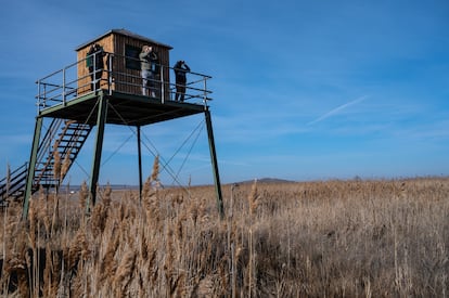 Una de las torres de observación de aves del Parque Natural Laguna de Gallocanta.