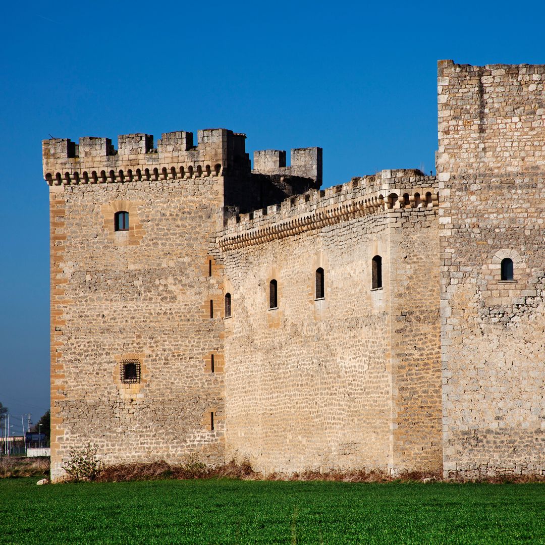 Castillo de Sotopalacios, Burgos