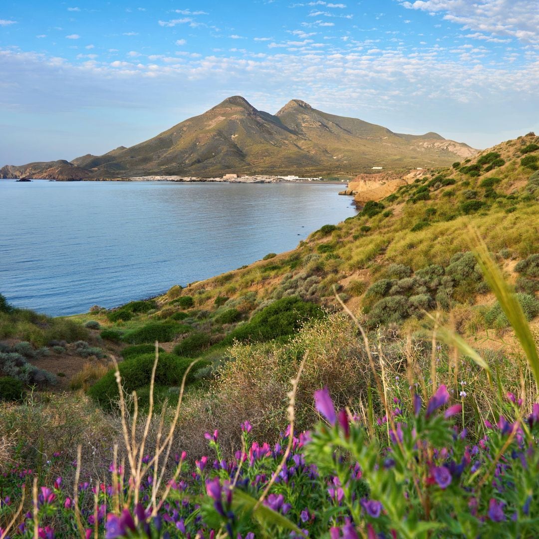 Paisaje de Cabo de Gata, Los Escultos, Almería