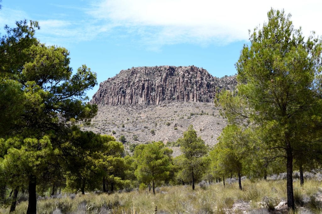 Cancarix Python, Hellín, Albacete