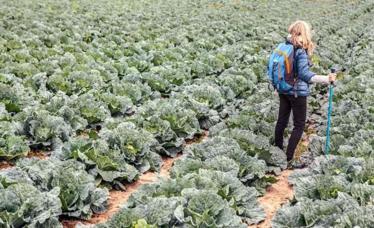 5 destinos y 5 planes gastronómicos para ir del campo a la mesa