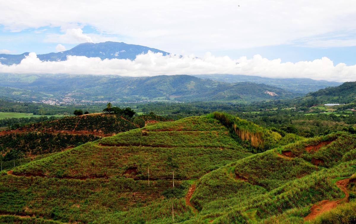 Vista al volcán Turrialba desde el campo