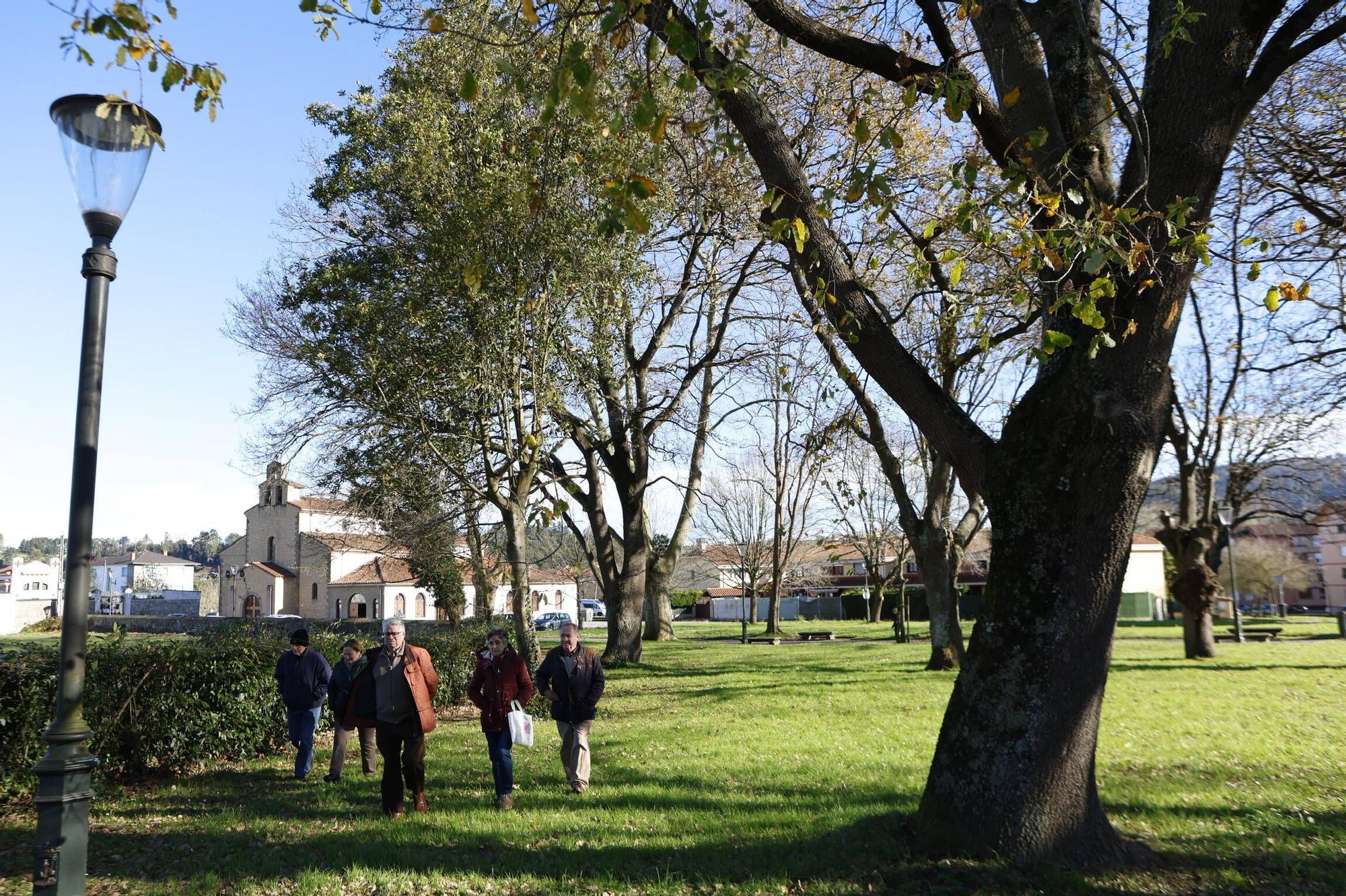 Desde los barrios hasta las parroquias: Vega