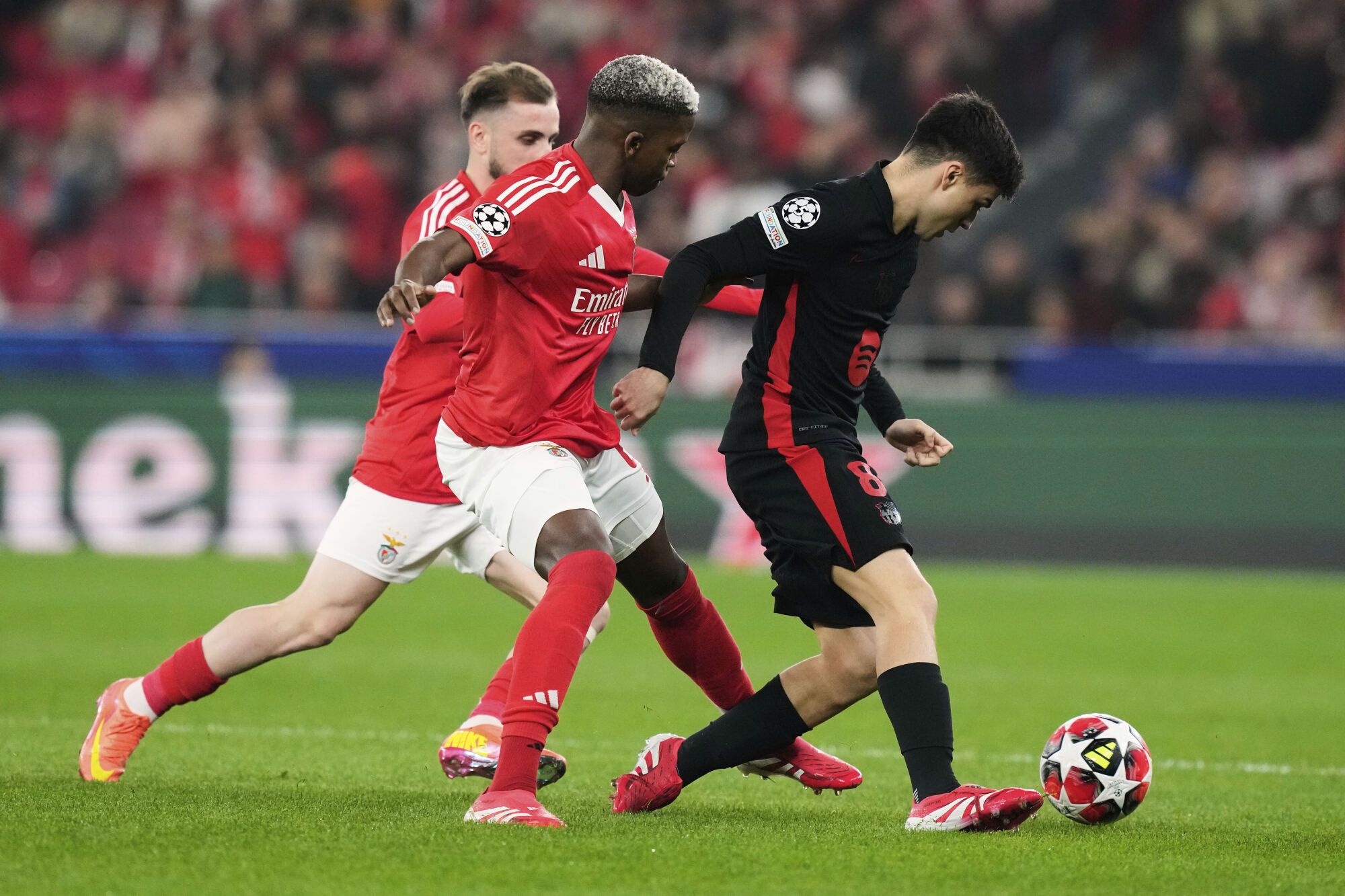 Benfica's Florentino Luis and Kerem Akturkoglu, fights for the ball against Barcelona's Pedri during a Champions League opening phase soccer match between SL Benfica and FC Barcelona at the Luz stadium in Lisbon, Tuesday, Jan. 21, 2025. (AP Photo/Armando Franca)