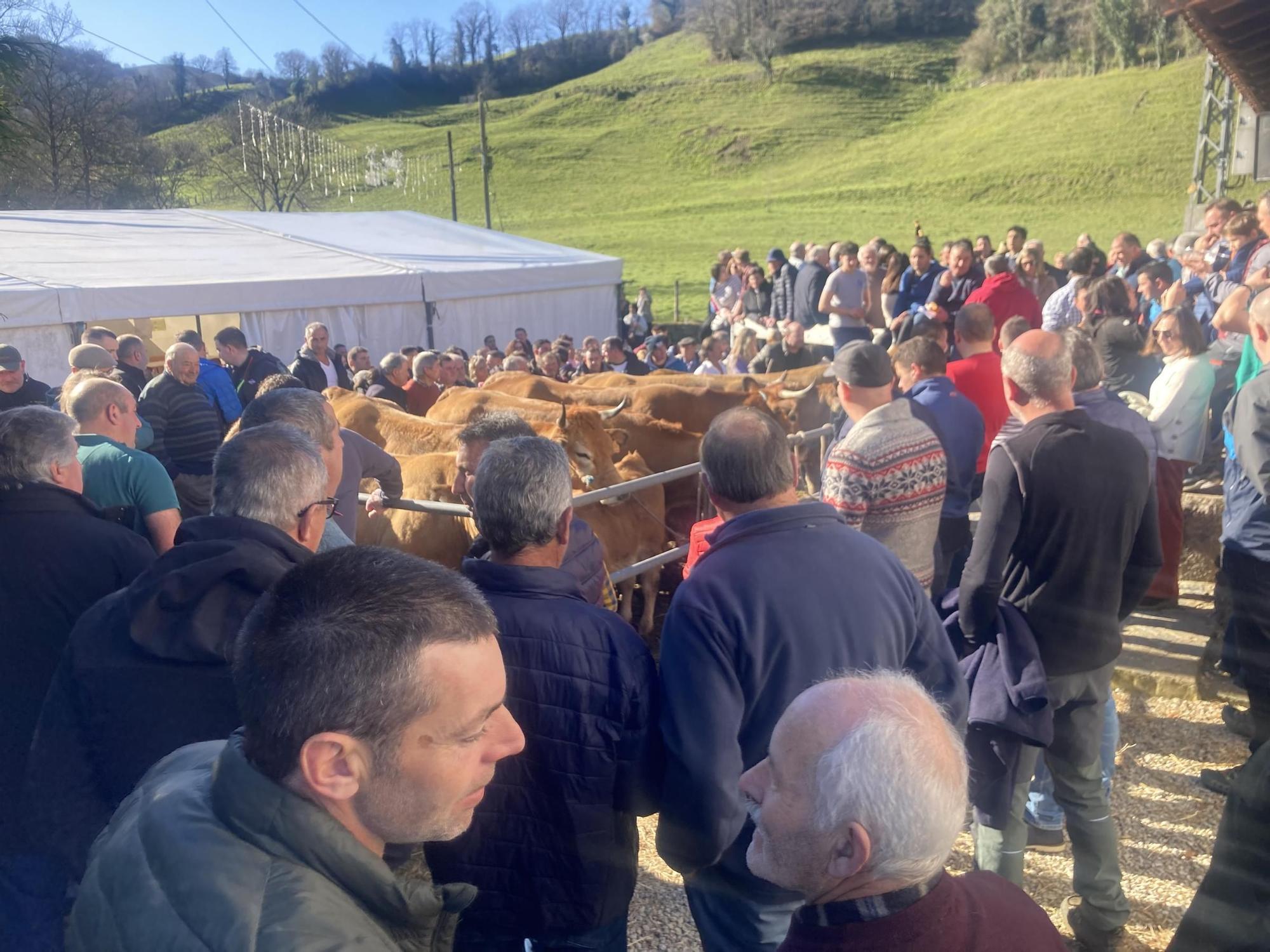 Así fue la mañana soleada del festejo en Coalla, con productos de primera y una procesión