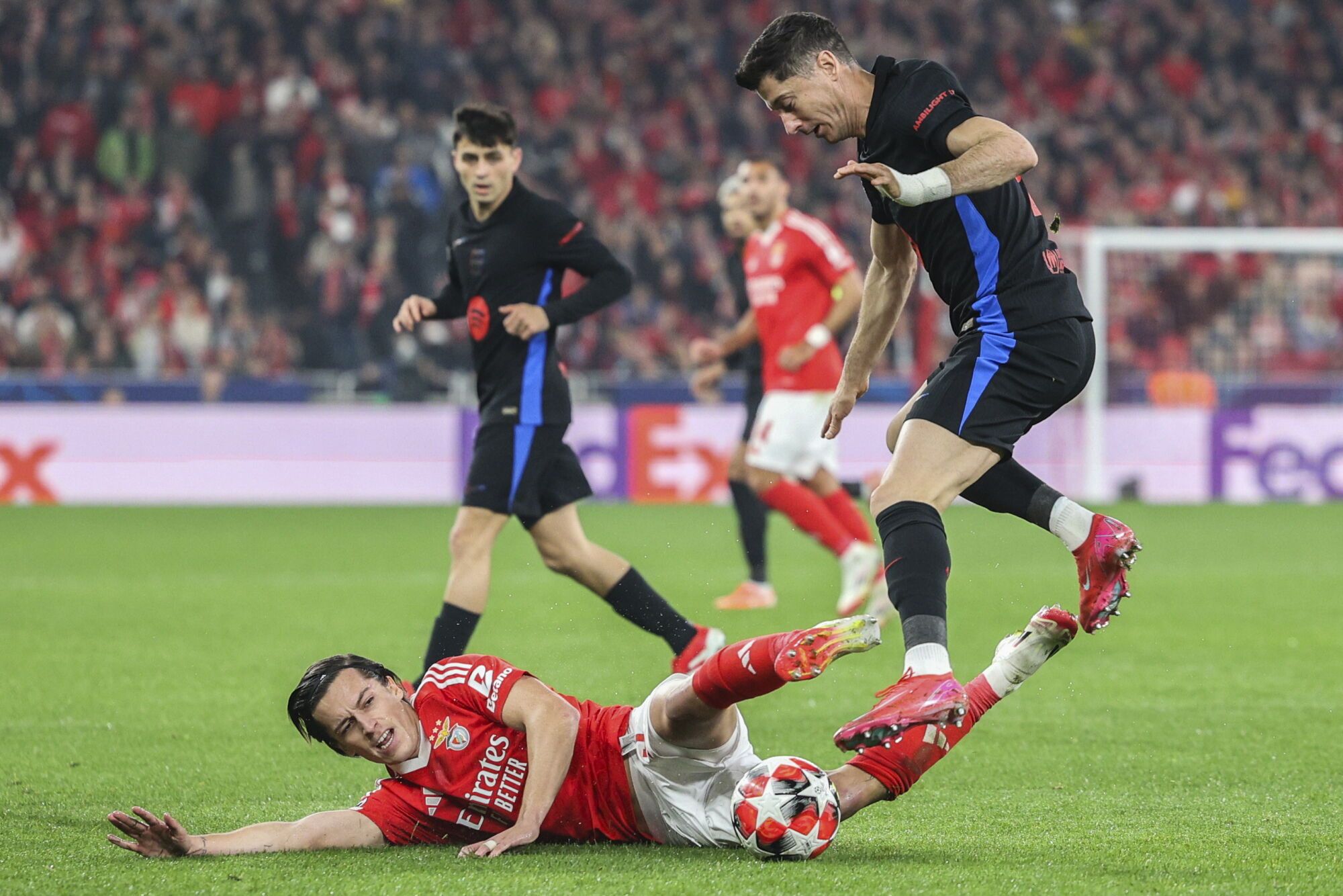 Lisbon (Portugal), 01/21/2025.- Benfica`s Alvaro Carreras (L) fights for the ball with Barcelona`s Robert Lewandowski during their UEFA Champions League soccer match held at Luz Stadium in Lisbon, Portugal, 21 January 2025. (Champions League, Lisbon) EFE/EPA/MIGUEL A. LOPES