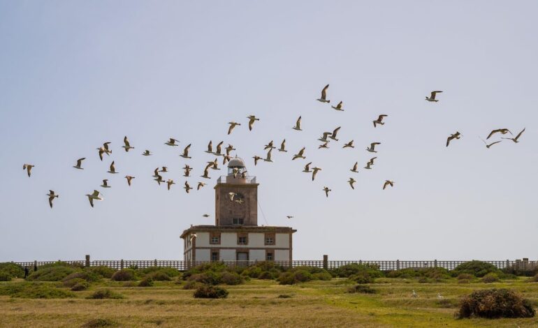 Ocho planes para abrir el apetito en Alicante, la Capital Española de la Gastronomía 2025 | Guia El Viajero