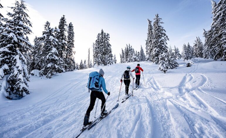 Guía para elegir (bien) entre 10 estaciones de esquí en los Alpes | Escapadas por Europa | El Viajero