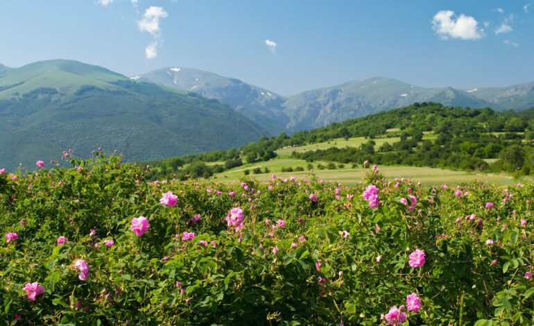 Descubriendo el valle de las Rosas, una joya en Bulgaria | Viajes | El Viajero