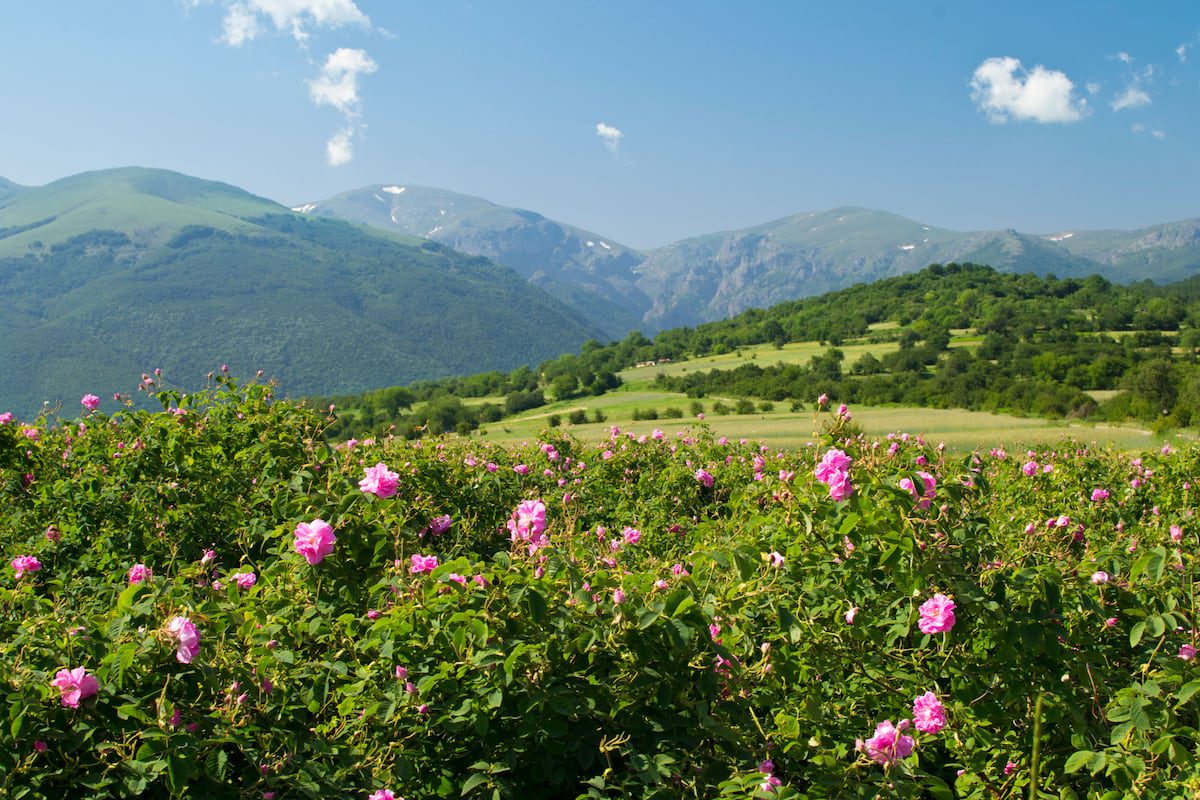 Descubriendo el valle de las Rosas, una joya en Bulgaria | Viajes | El Viajero