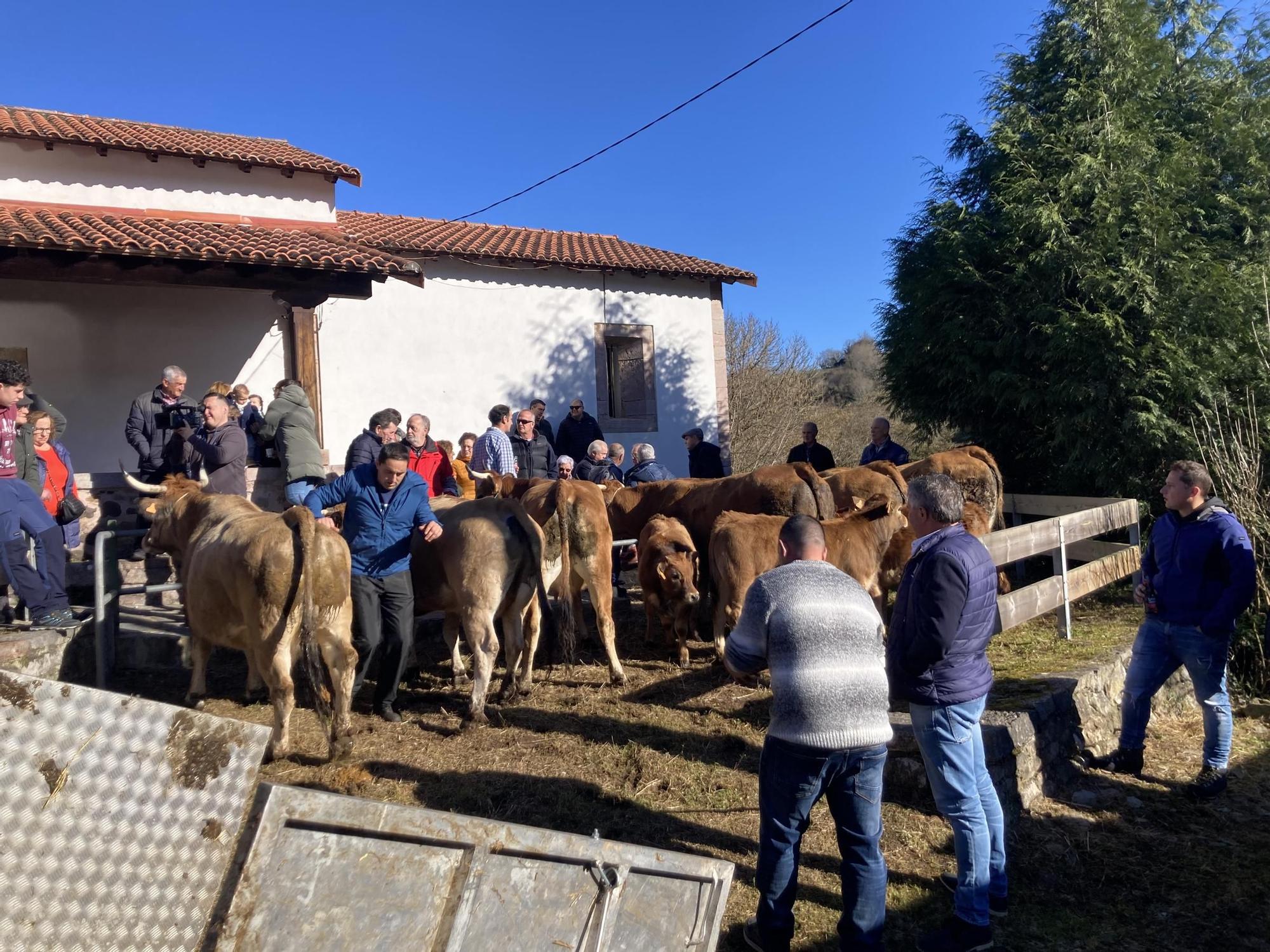 Así fue la mañana soleada del festejo en Coalla, con productos de primera y una procesión