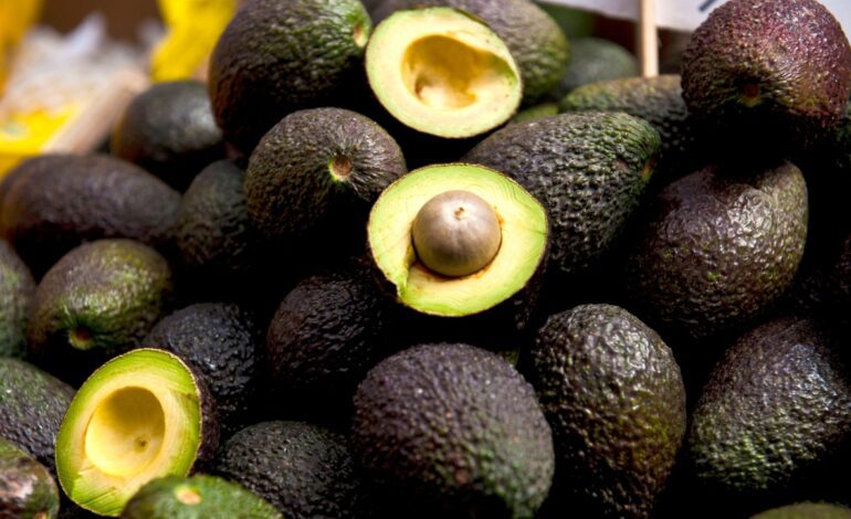 Los aguacates marroquíes "invaden" Europa