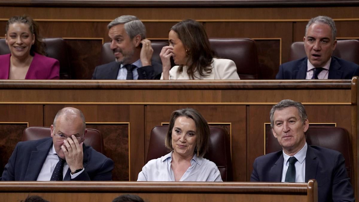 Diputados del PP critican la «estrategia errática» del partido en el Congreso y señalan a Tellado