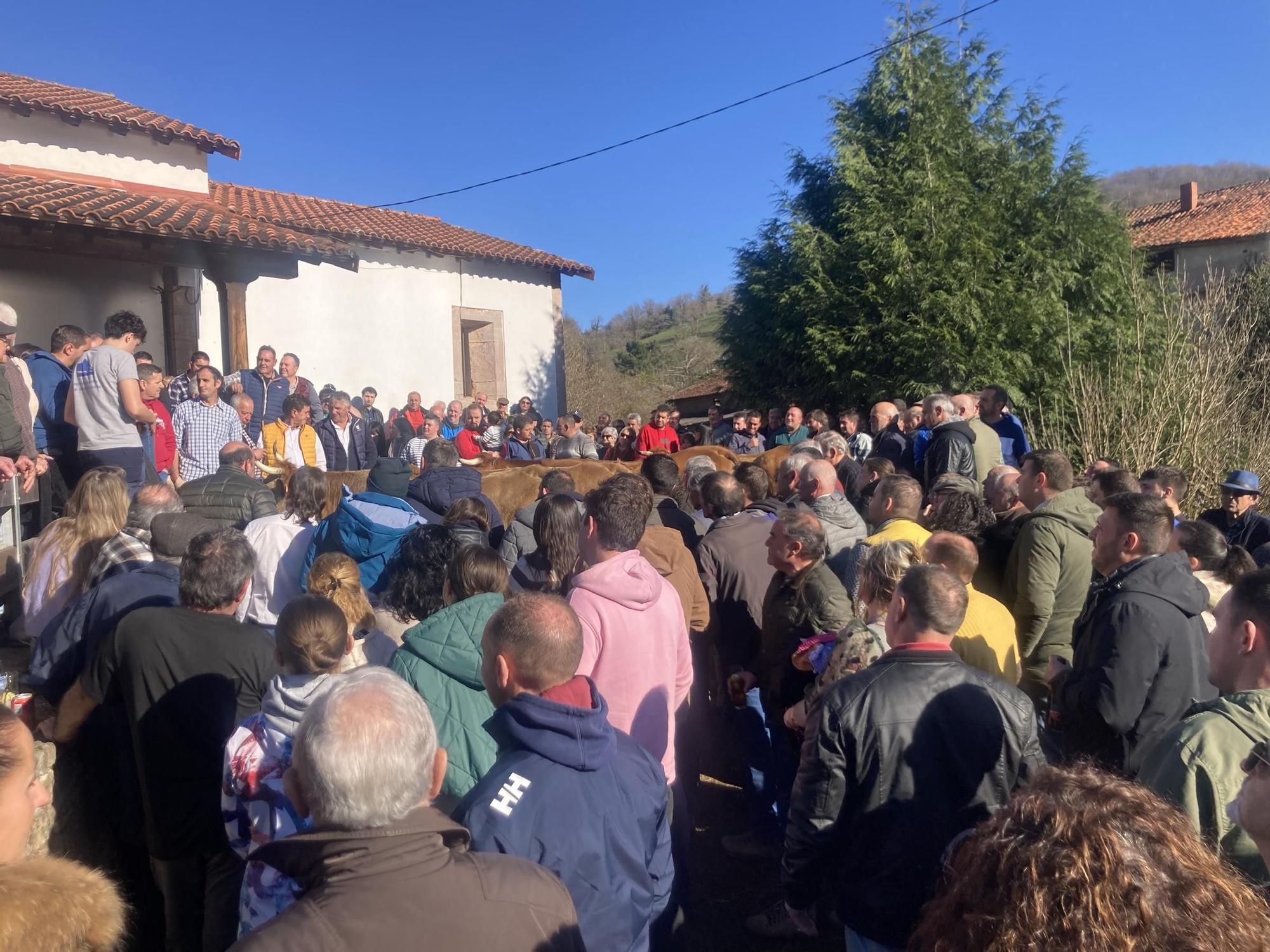 Así fue la mañana soleada del festejo en Coalla, con productos de primera y una procesión