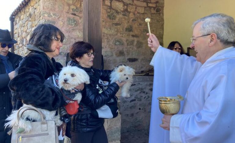 Así fue la soleada fiesta de San Antón en Coalla, con productos del concejo y bendición de mascotas