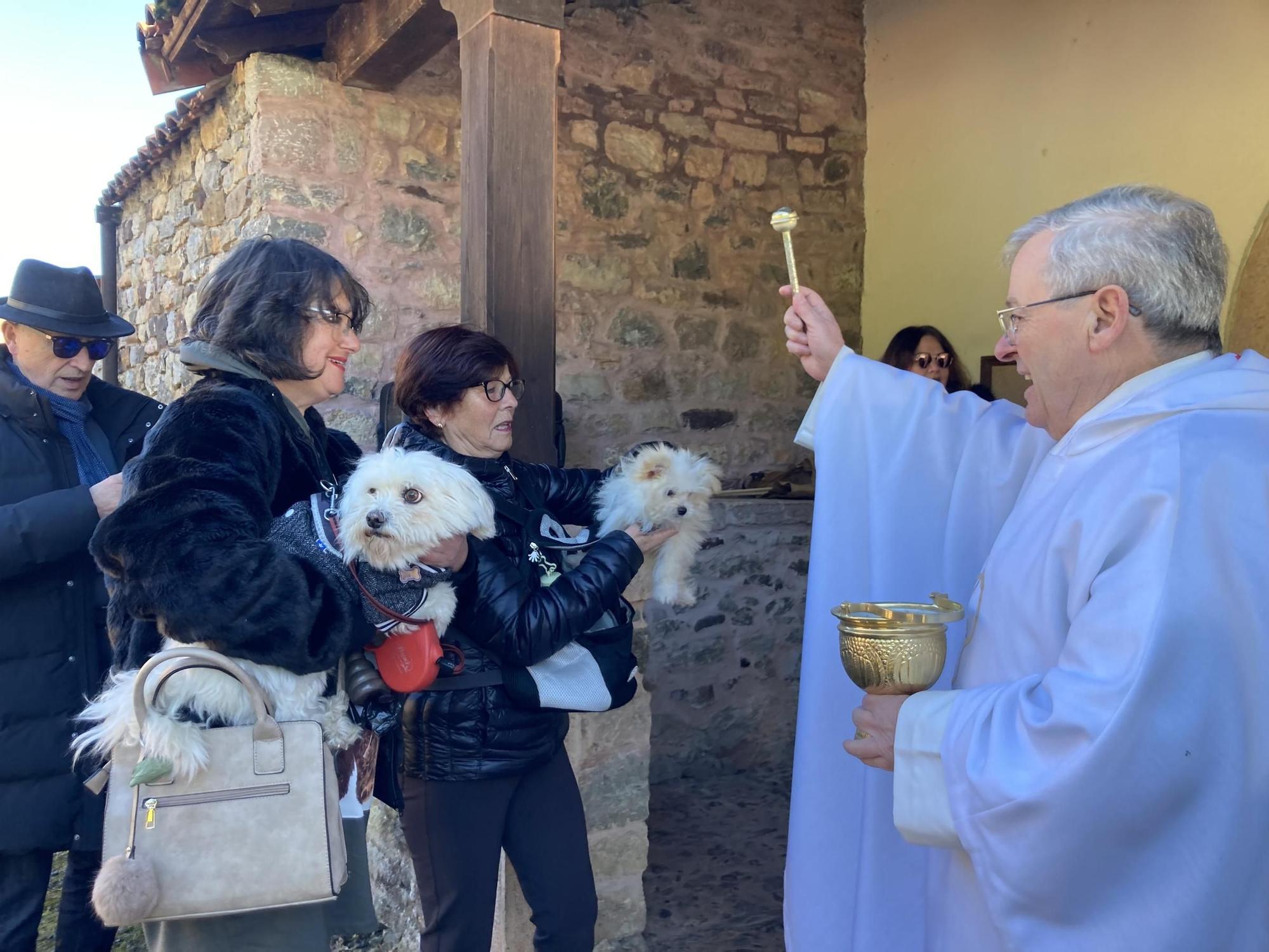 Así fue la mañana soleada del festejo en Coalla, con productos de primera y una procesión