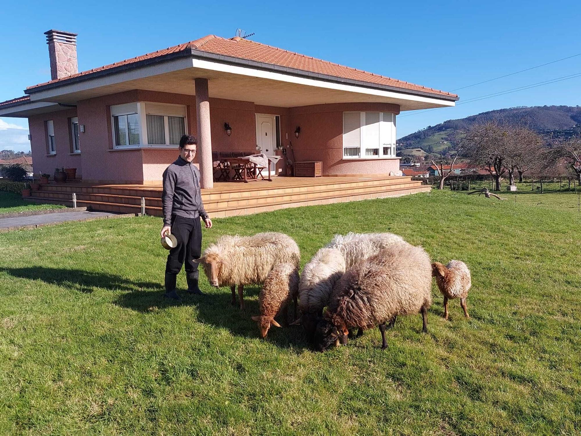 Desde los barrios hasta las parroquias: Vega