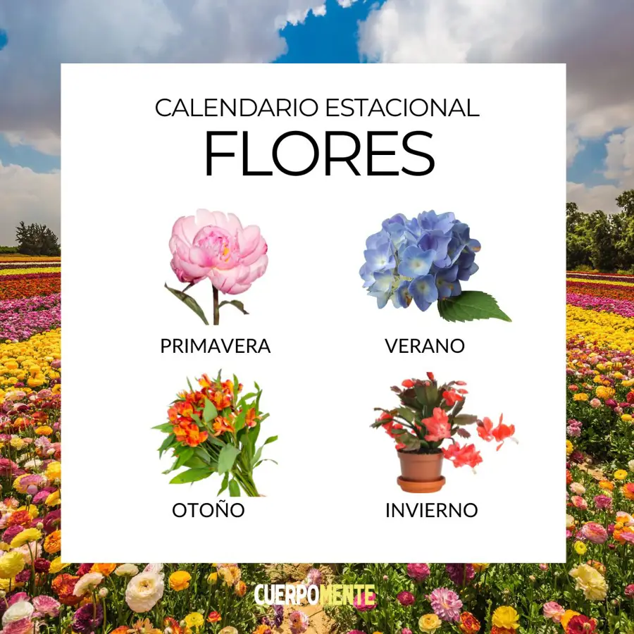 Calendario de flores de temporada