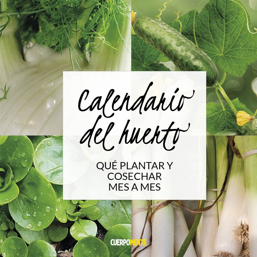 calendario de jardin