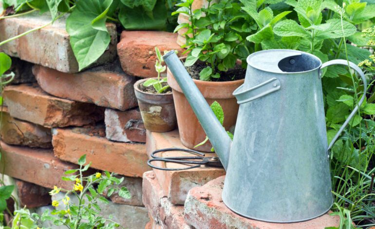 el detalle que lleva tu jardín a otro nivel