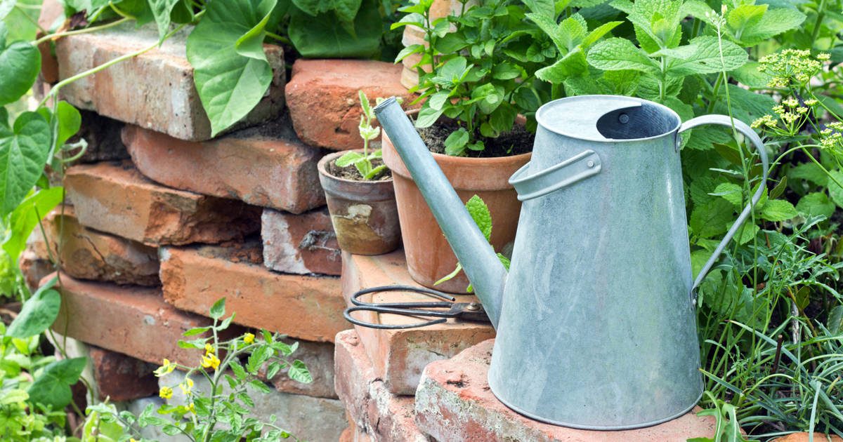 el detalle que lleva tu jardín a otro nivel