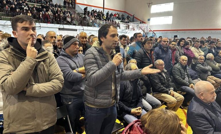 Tensión entre ganaderos y Principado en Tineo por las medidas contra la tuberculosis bovina