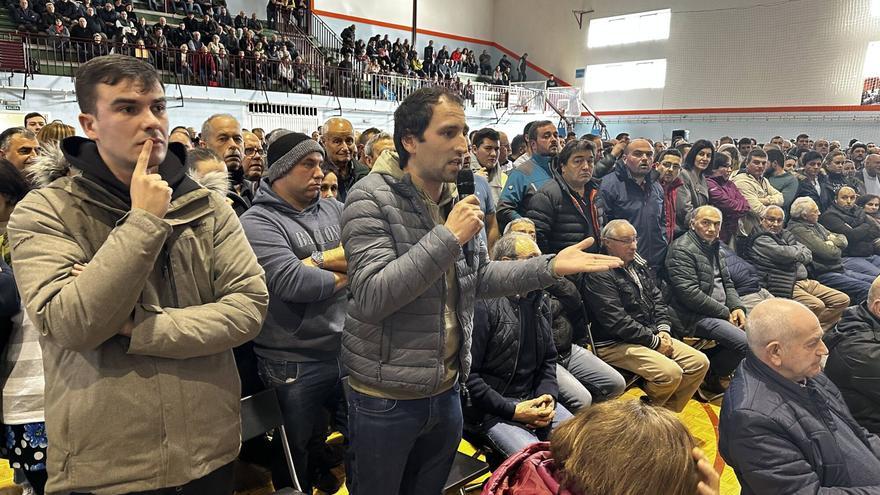 Tensión entre ganaderos y Principado en Tineo por las medidas contra la tuberculosis bovina