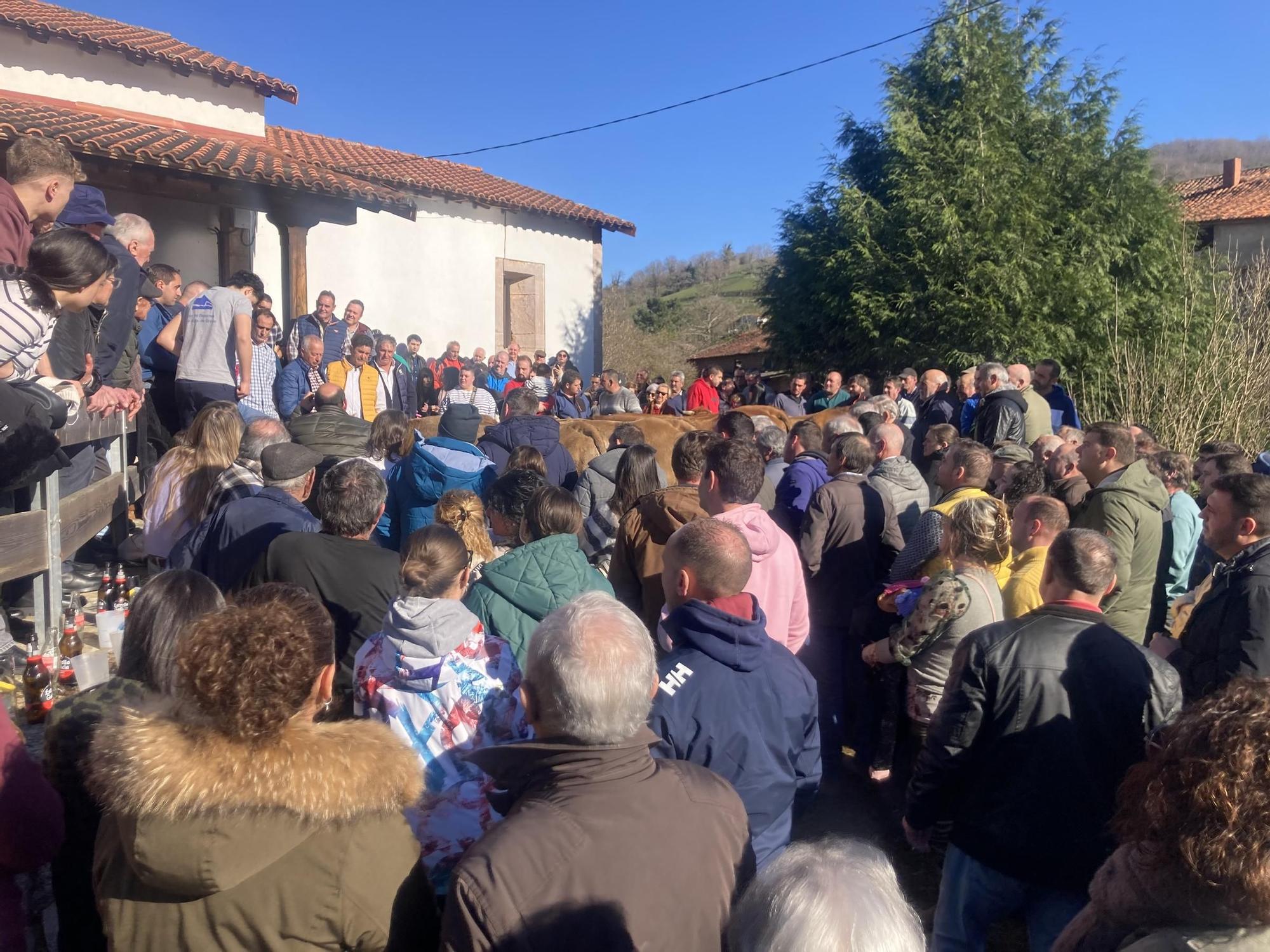 Así fue la mañana soleada del festejo en Coalla, con productos de primera y una procesión