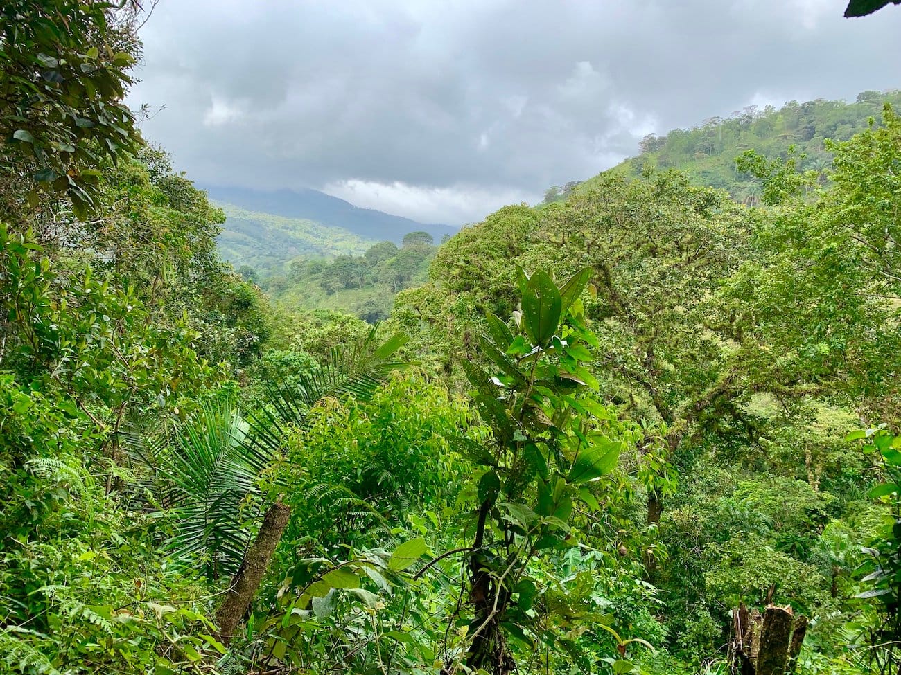 Santa Fe au Panama