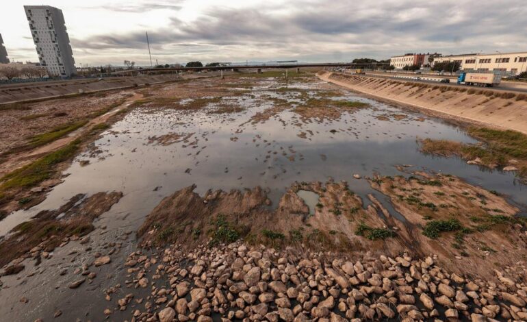 ¿Por qué huele tan mal el cauce del Túria dos meses y medio después de la DANA?